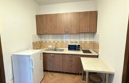 Garsonieră ultracentrală de închiriat – cu terasă, disponibilă imediat!