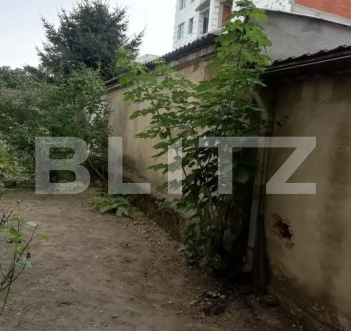Apartament de vânzare 3 camere Semicentral - 193468AV | BLITZ Satu Mare | Poza8
