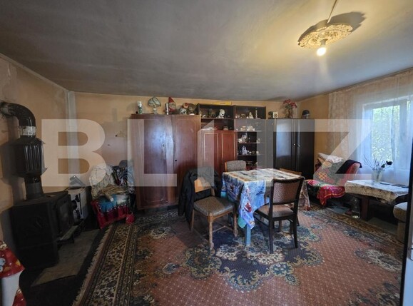 Casa de vânzare 2 camere Sătmărel - 193846CV | BLITZ Satu Mare | Poza1