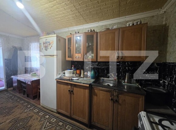 Casa de vânzare 2 camere Sătmărel - 193846CV | BLITZ Satu Mare | Poza4