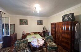 Casă de vânzare în Viile Satu Mare – teren generos de 5700 mp
