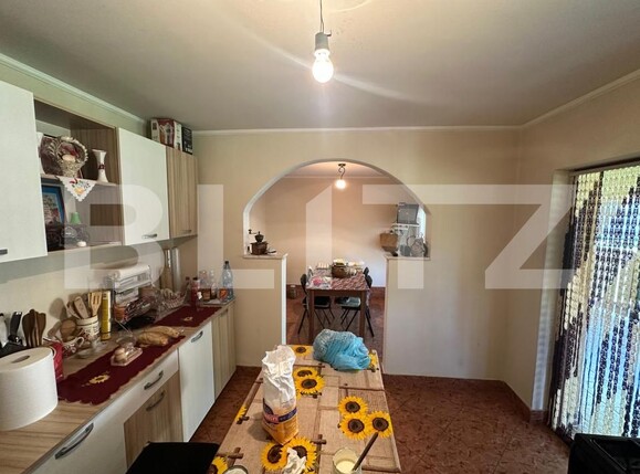 Casa de vânzare 3 camere Viile Satu Mare - 194039CV | BLITZ Satu Mare | Poza10