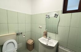 Apartament – locuință sau spațiu comercial, parter, 55 mp, strada Careiului