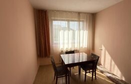 Apartament – locuință sau spațiu comercial, parter, 55 mp, strada Careiului