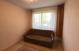 Apartament – locuință sau spațiu comercial, parter, 55 mp, strada Careiului