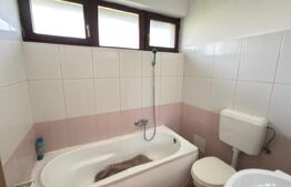 Apartament – locuință sau spațiu comercial, parter, 55 mp, strada Careiului