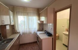 Apartament – locuință sau spațiu comercial, parter, 55 mp, strada Careiului