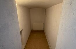 Spatiu comercial de inchiriat, 40 mp, zona Semicentrala