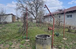 Casa de vanzare, 60 mp, teren 1399 mp, in localitatea Micula