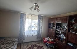 Casa 5 dormitoare, 204 mp utili, teren 1550 mp, zona Ardud