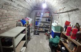 Casa 5 dormitoare, 204 mp utili, teren 1550 mp, zona Ardud