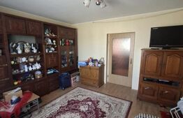 Casa 5 dormitoare, 204 mp utili, teren 1550 mp, zona Ardud