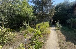 Casa plan parter  74 mp utili , 1500 mp teren,zona Lucian Blaga 