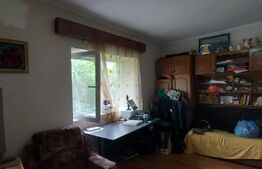 Proprietate ideală locuință/afacere, 74.49 mp, zona Lucian Blaga 