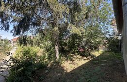 Casa plan parter  74 mp utili , 1500 mp teren,zona Lucian Blaga 