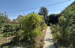 Casa plan parter  74 mp utili , 1500 mp teren,zona Lucian Blaga 