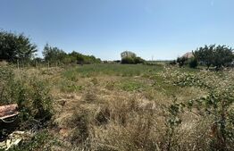 Casa plan parter  74 mp utili , 1500 mp teren,zona Lucian Blaga 