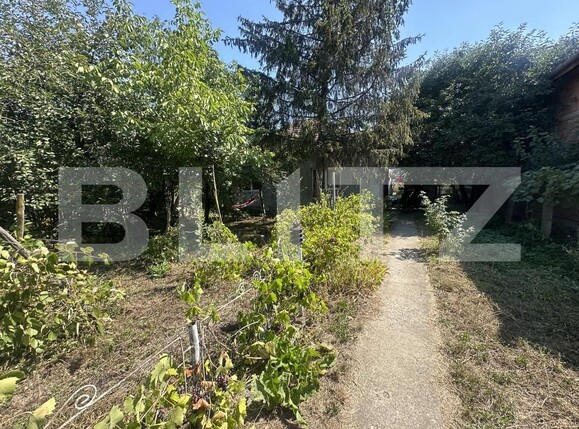Casa de vânzare 3 camere Lucian Blaga - 194751CV | BLITZ Satu Mare | Poza7