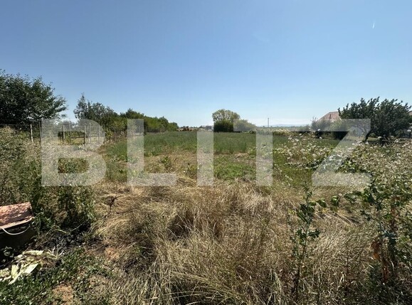Casa de vânzare 3 camere Lucian Blaga - 194751CV | BLITZ Satu Mare | Poza10