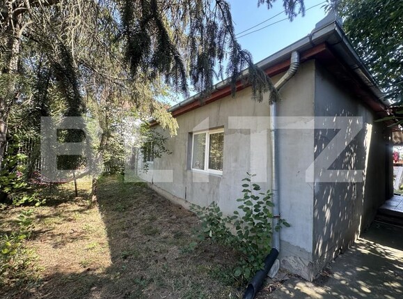 Casa de vânzare 3 camere Lucian Blaga - 194751CV | BLITZ Satu Mare | Poza12