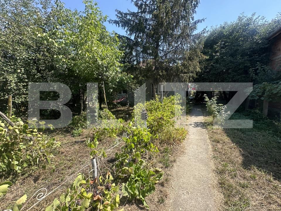 Casa de vânzare 3 camere Lucian Blaga - 194751CV | BLITZ Satu Mare | Poza7