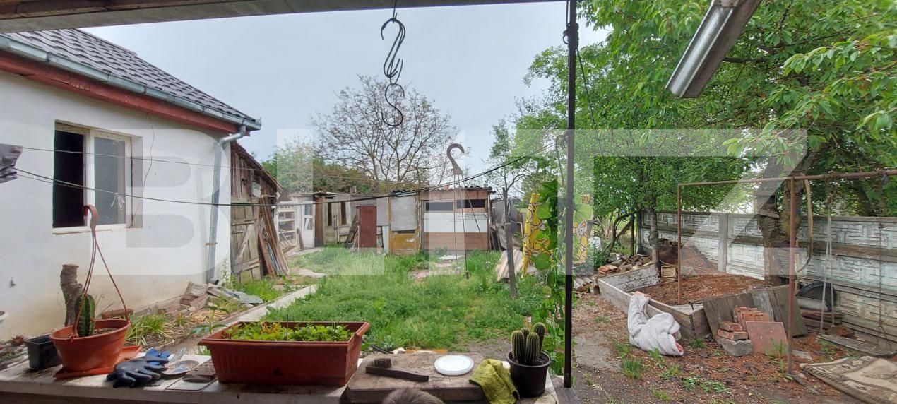 Casa de vânzare 3 camere Lucian Blaga - 194751CV | BLITZ Satu Mare | Poza5