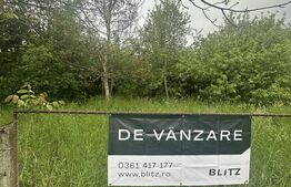 Teren intravilan 8400 mp - oportunitate de investiție, zona Viile Satu Mare