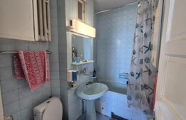 Casa de vanzare, 410 mp, teren 885 mp, zona Semicentrala