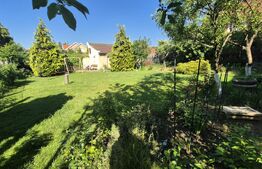 Casa de vanzare, 410 mp, teren 885 mp, zona Semicentrala