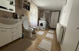 Casa cu 4 camere, 120 mp, teren 6.325 mp, zona Babasesti 