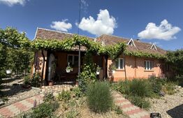 Casa cu 4 camere, 120 mp, teren 6.325 mp, zona Babasesti 