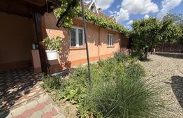 Casa cu 4 camere, 120 mp, teren 6.325 mp, zona Babasesti 