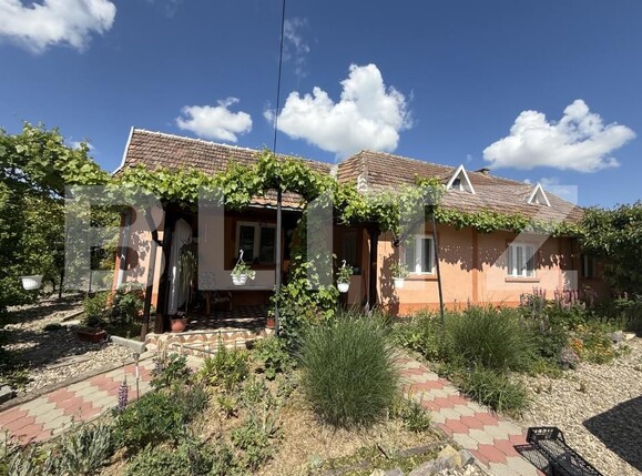 Casa de vânzare 4 camere Exterior Est - 195318CV | BLITZ Satu Mare | Poza13