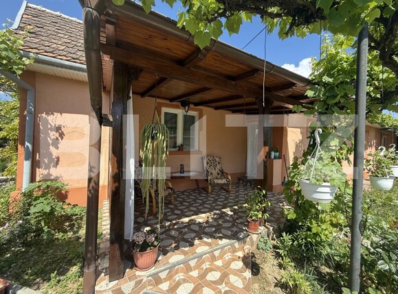 Casa de vânzare 4 camere Exterior Est - 195318CV | BLITZ Satu Mare | Poza12