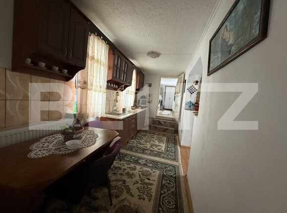 Casa de vânzare 4 camere Exterior Est - 195318CV | BLITZ Satu Mare | Poza9
