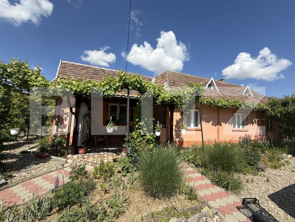 Casa de vânzare 4 camere Exterior Est - 195318CV | BLITZ Satu Mare | Poza13