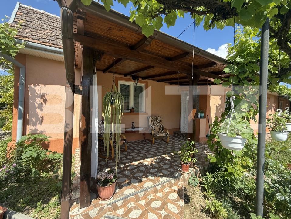 Casa de vânzare 4 camere Exterior Est - 195318CV | BLITZ Satu Mare | Poza12