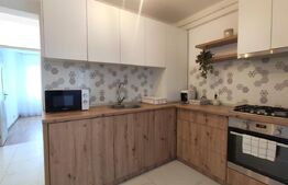 Apartament 2 camere modern, 50 mp, renovat complet, zona Burdea