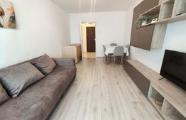 Apartament 2 camere modern, 50 mp, renovat complet, zona Burdea
