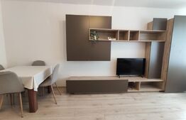 Apartament 2 camere modern, 50 mp, renovat complet, zona Burdea