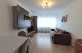 Apartament 2 camere modern, 50 mp, renovat complet, zona Burdea