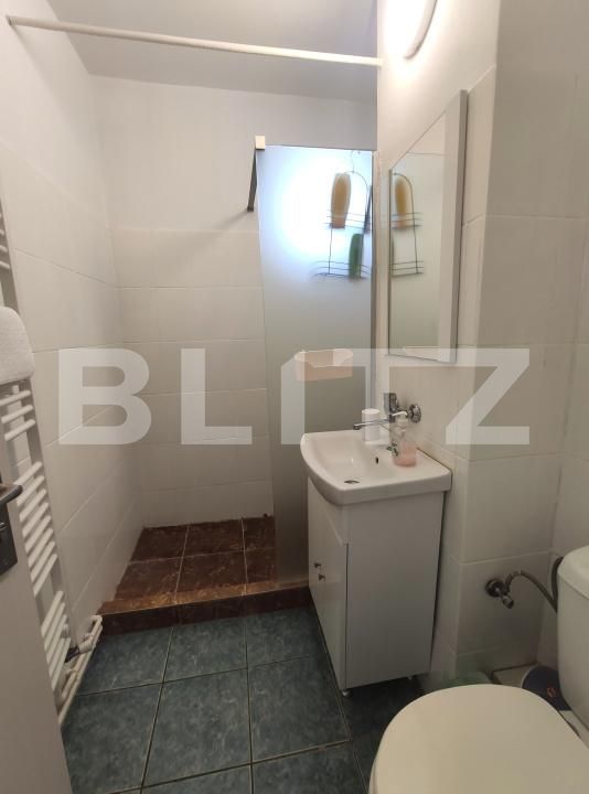 Apartament de vânzare 2 camere Burdea - 195521AV | BLITZ Satu Mare | Poza13