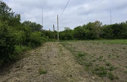 Teren extravilan, 5000 mp, zona Lucian Blaga