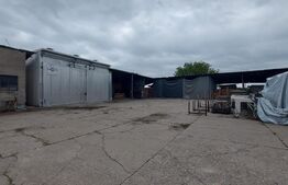 Hale industriale, utilaje, uscătoare cherestea și teren, 250 mp, zona Est