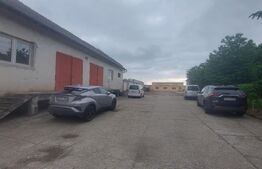 Conac cu pomi maturi și teren pentru dezvoltare, 750 mp, zona Nord-Est