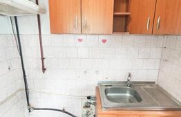 Apartament 2 camere, izolat exterior, Aleea Humulesti