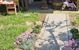 Casa 4 camere 126 mp utili, 700 mp teren, zona Viile Satu Mare