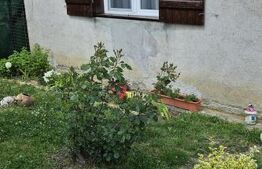Casa 4 camere 126 mp utili, 700 mp teren, zona Viile Satu Mare