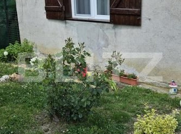 Casa de vânzare 4 camere Viile Satu Mare - 195899CV | BLITZ Satu Mare | Poza12