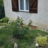 Casa de vânzare 4 camere Viile Satu Mare - 195899CV - Poza 1 din 12 | BLITZ Satu Mare | Poza9